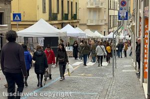 Viterbo - Fiera dell'Annunziata 2025