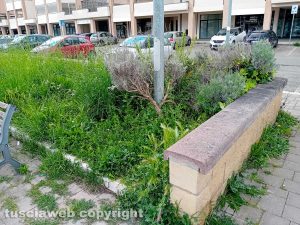 Viterbo - Giardinetti a Santa Lucia, l'erba è più alta del muretto