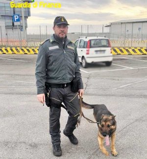 Viterbo - Guardia di finanza - Unità cinofila