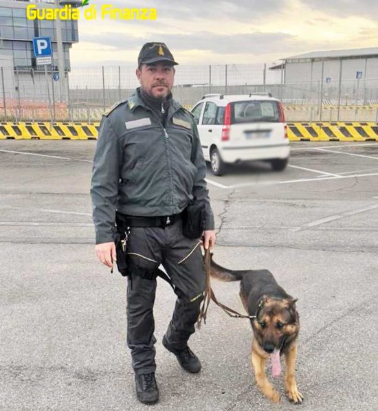 Viterbo - Guardia di finanza - Unità cinofila