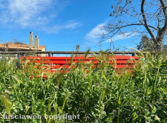 Viterbo - Tobia - Il parco giochi sommerso dalle erbacce