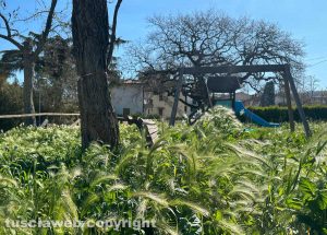 Viterbo - Tobia - Il parco giochi sommerso dalle erbacce