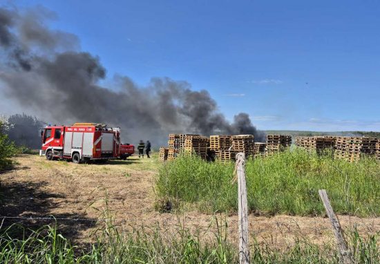 Tuscania - Incendio in zona Guadigliolo