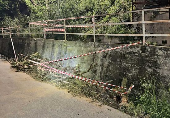 Orte - Albero caduto in via Carlo Alberto Dalla Chiesa 