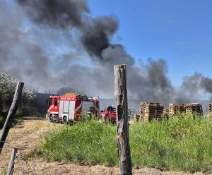 Tuscania - Incendio in zona Guadigliolo