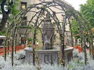 Viterbo - Gli allestimenti di San Pellegrino in fiore - Piazza della Morte