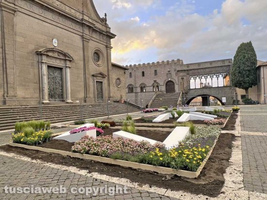 Viterbo - Gli allestimenti di San Pellegrino in fiore - Piazza San Lorenzo