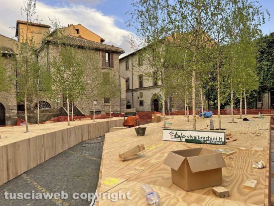 Viterbo - Gli allestimenti di San Pellegrino in fiore - Piazza San Carluccio