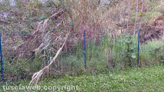Viterbo - San Lazzaro - Accanto al giardino della memoria
