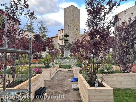 Viterbo - Gli allestimenti di San Pellegrino in fiore - Piazza del Gesù
