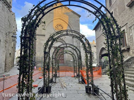 Viterbo - Gli allestimenti di San Pellegrino in fiore - Piazza San Pellegrino