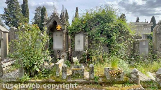 Viterbo - San Lazzaro - Tombe invase dall'erba
