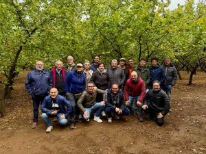 Cpn - Cooperativa produttori nocciole in Cile