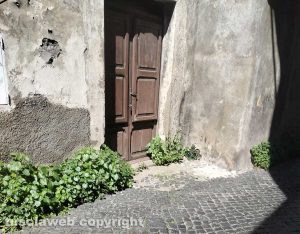 Viterbo - Erbacce in via Vetulonia