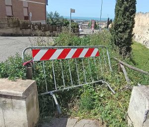 Tarquinia - Erba alta