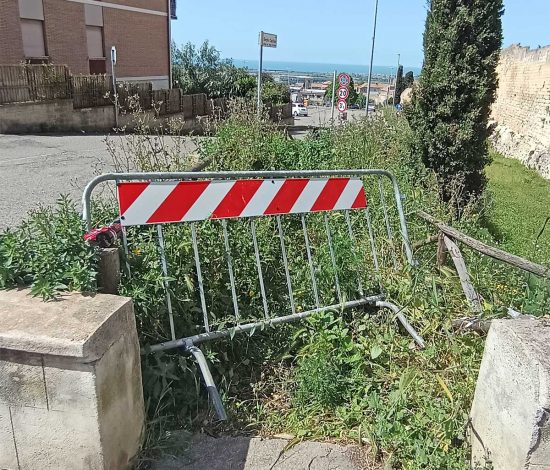 Tarquinia - Erba alta