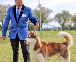 Tuscia dog show