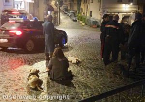 Viterbo - Cane decapitato e ucciso a San Faustino