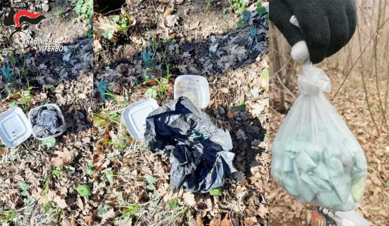 Viterbo - La cocaina sequestrata dai carabinieri