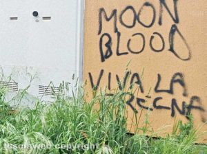 Viterbo - Scritte indecorose in via del Pinturicchio