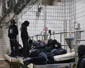 Acquapendente - Blitz al mattatoio