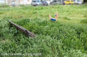 Viterbo - Erba altissima in zona Santa Lucia