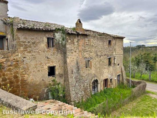 Viterbo - Vallebona