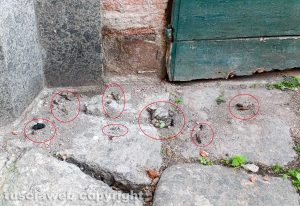 Viterbo - Le feci in via Sant'Egidio