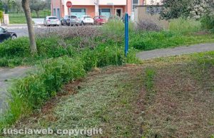 Viterbo - Ponte dell'Elce - L'erba alta tagliata a metà