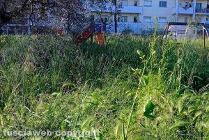 Viterbo - Santa Barbara - I giochi dei bambini sommersi dall'erba alta