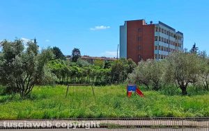 Viterbo - Santa Barbara - Il parco giochi sommerso dall'erba alta