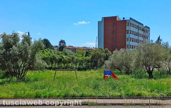 Viterbo - Santa Barbara - Il parco giochi sommerso dall'erba alta