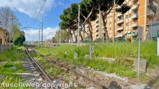 Viterbo - Erba alta alla stazione dei treni di porta Fiorentina