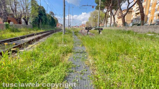 Viterbo - Erba alta alla stazione dei treni di porta Fiorentina
