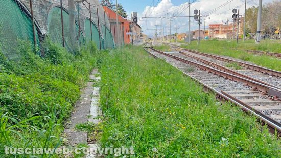 Viterbo - Erba alta alla stazione dei treni di porta Fiorentina