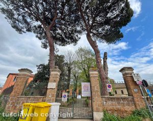 Civita Castellana - I tigli dell'istituto Midossi