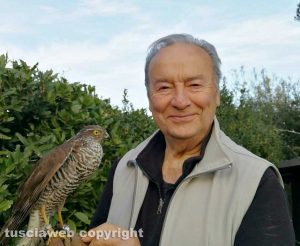 Enzo Arcioni