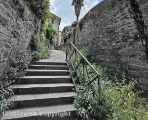 Viterbo - Erba incolta in Via del Ganfione