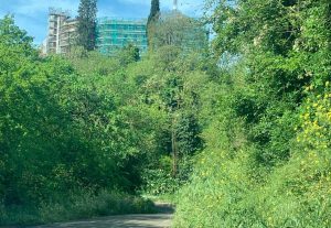 Il degrado a Graffignano