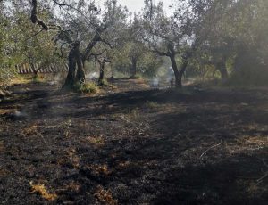 Bolsena - Incendio in un terreno agricolo