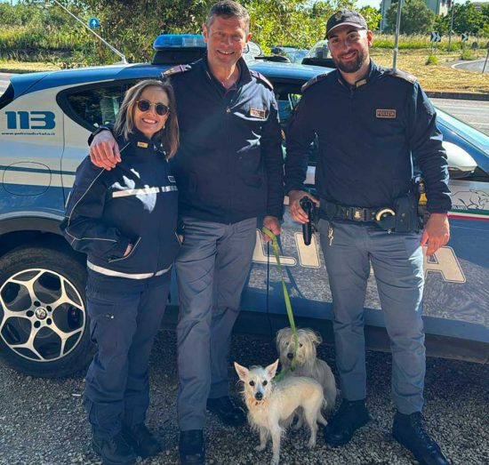 Viterbo - La polizia salva due cagnolini vaganti lungo il raccordino