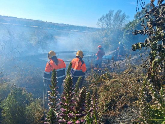 Tarquinia - Incendio di sterpaglie a ridosso di una casa in località Spinicci