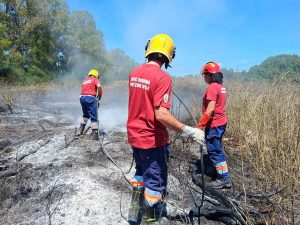 Civitavecchia - Incendio di sterpaglie in località La Scaglia