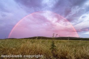 Viterbo - Arcobaleno rosa