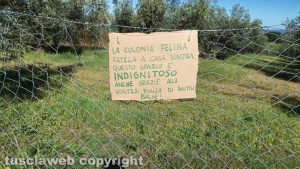 Viterbo - Il cartello sulla colonia felina all'isola ecologica di Montigliano