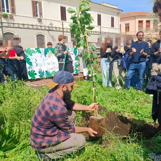 Civita Castellana - La piantumazione del ciliegio