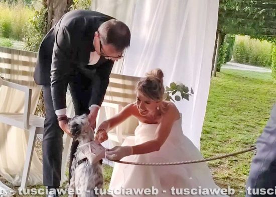 Vitorchiano - Nozze da sogno tra i fiori per Johann Rossi Mason e Francesco Capecci - Il setter Chloe porta le fedi