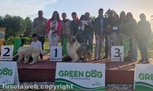 L'allevamento Zerso di Canino alla regionale Enci