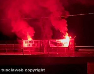 Viterbo - Blitz animalista sulla Cassia bis