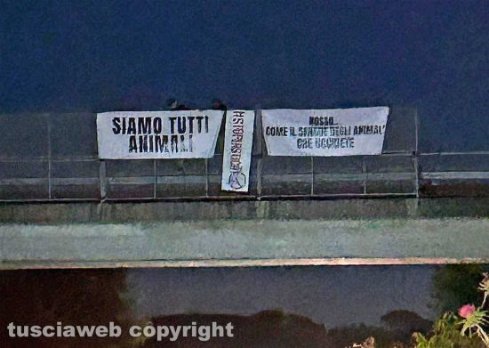 Viterbo - Blitz animalista sulla Cassia bis